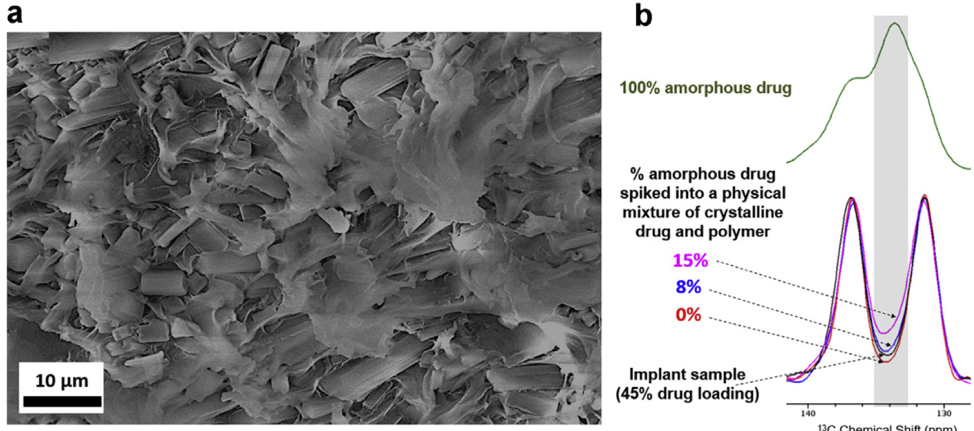 掃描電鏡首入藥典！賽默飛電鏡助力藥企研發(fā)-場(chǎng)發(fā)射篇
