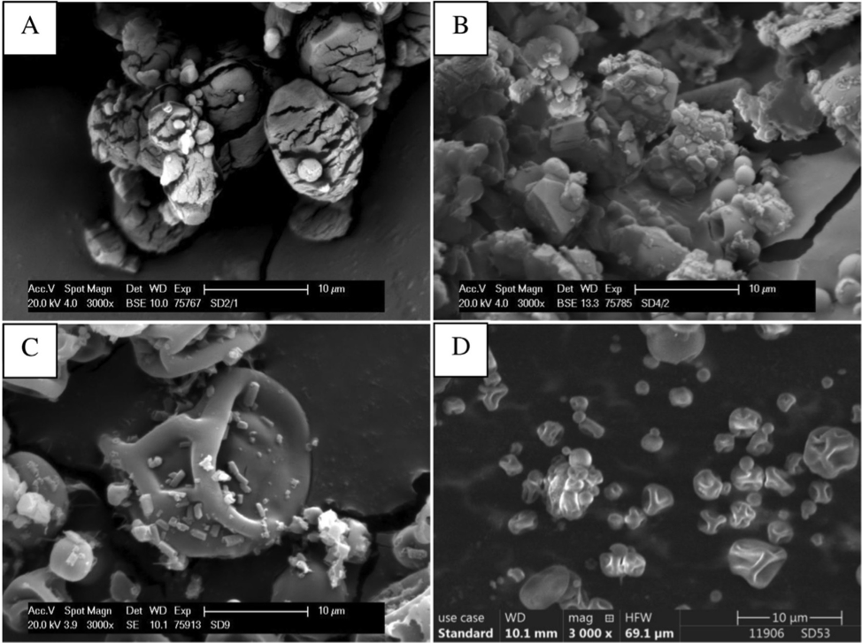 掃描電鏡首入藥典！賽默飛電鏡助力藥企研發(fā)-場(chǎng)發(fā)射篇