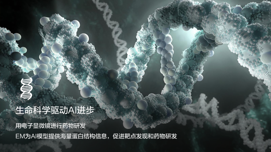 AI遇上電子顯微鏡：開(kāi)啟微觀世界的智能探索之旅