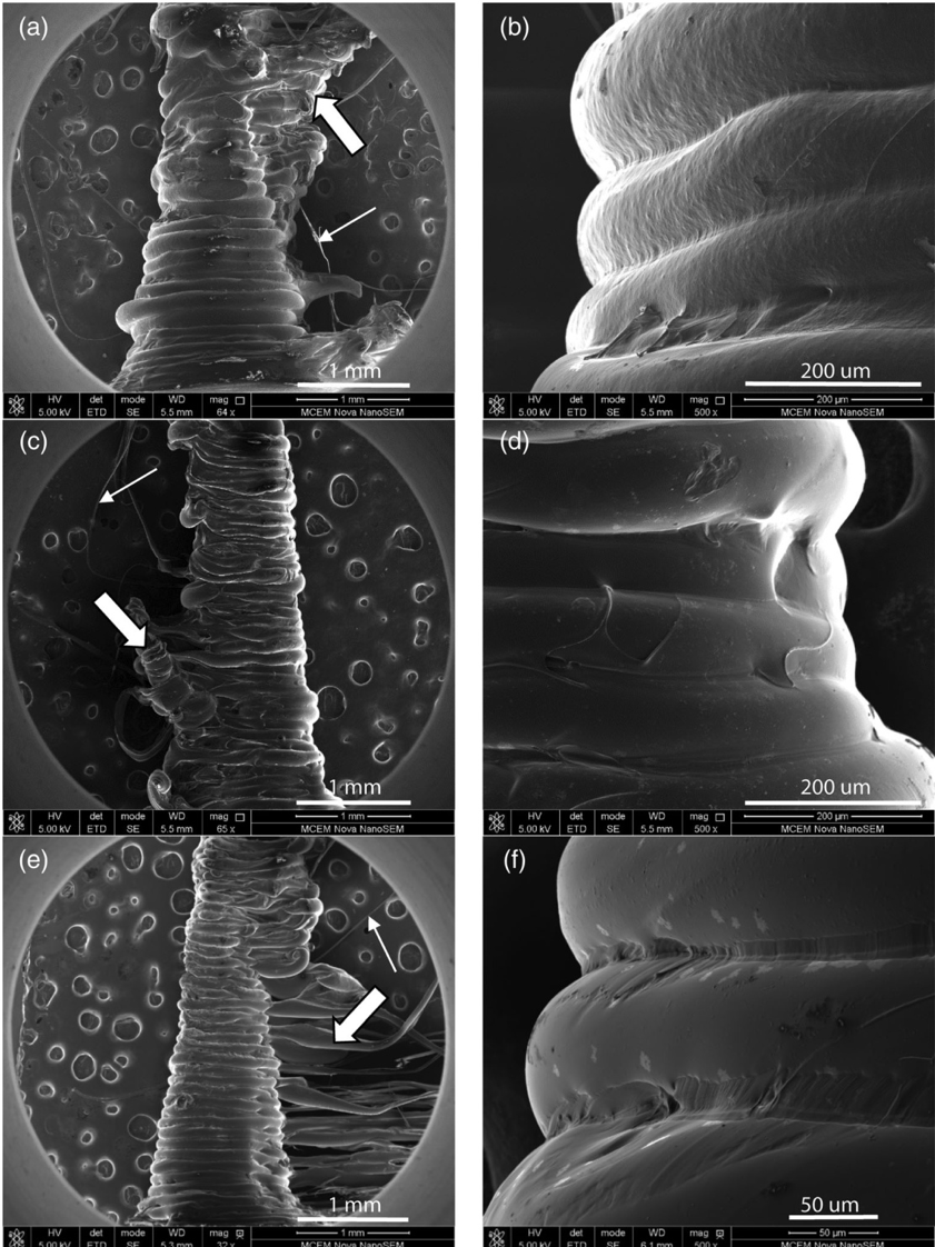掃描電鏡首入藥典！賽默飛電鏡助力藥企研發(fā)-場(chǎng)發(fā)射篇
