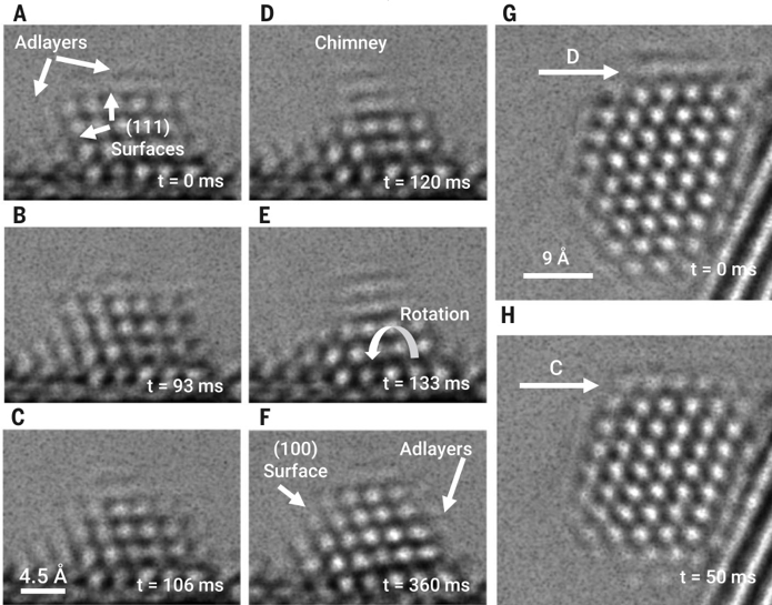 頂刊速遞-《Science》最新研究集錦，看我們的客戶如何帶領(lǐng)電鏡科技