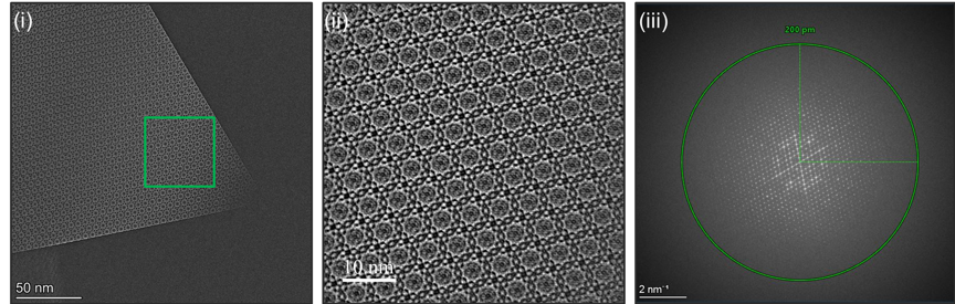 Falcon 4i：為電子束敏感材料的高分辨成像提供新解決方案