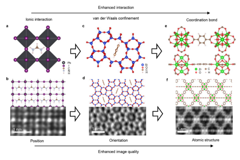 聚焦前沿|基于 iDPC-STEM 技術(shù)與限域效應(yīng)的分子結(jié)構(gòu)及相互作用原子級(jí)成像