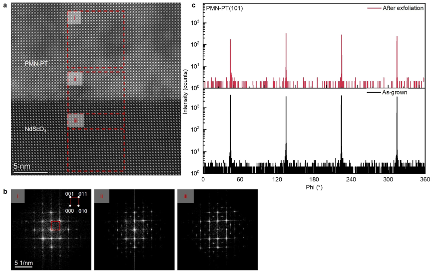頂刊速遞 《Nature》最新研究集錦，看我們的用戶如何帶領(lǐng)電鏡科技