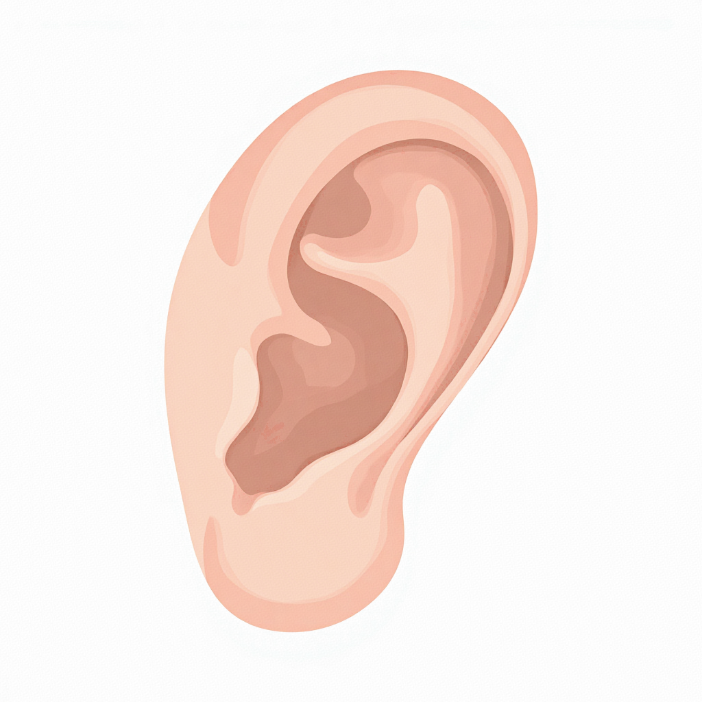 中耳筛查怎么做慢性中耳炎患者免费筛查！免费为你的耳朵“体检”！_https://www.jmylbn.com_新闻资讯_第3张