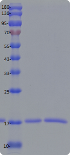 跑胶实操技巧：教你跑出清晰 &ldquo;顺眼&rdquo; 胶图