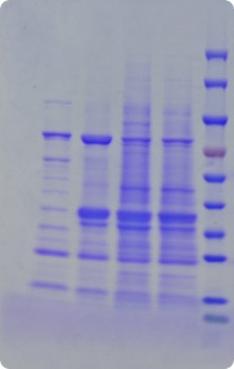 跑胶实操技巧：教你跑出清晰 &ldquo;顺眼&rdquo; 胶图