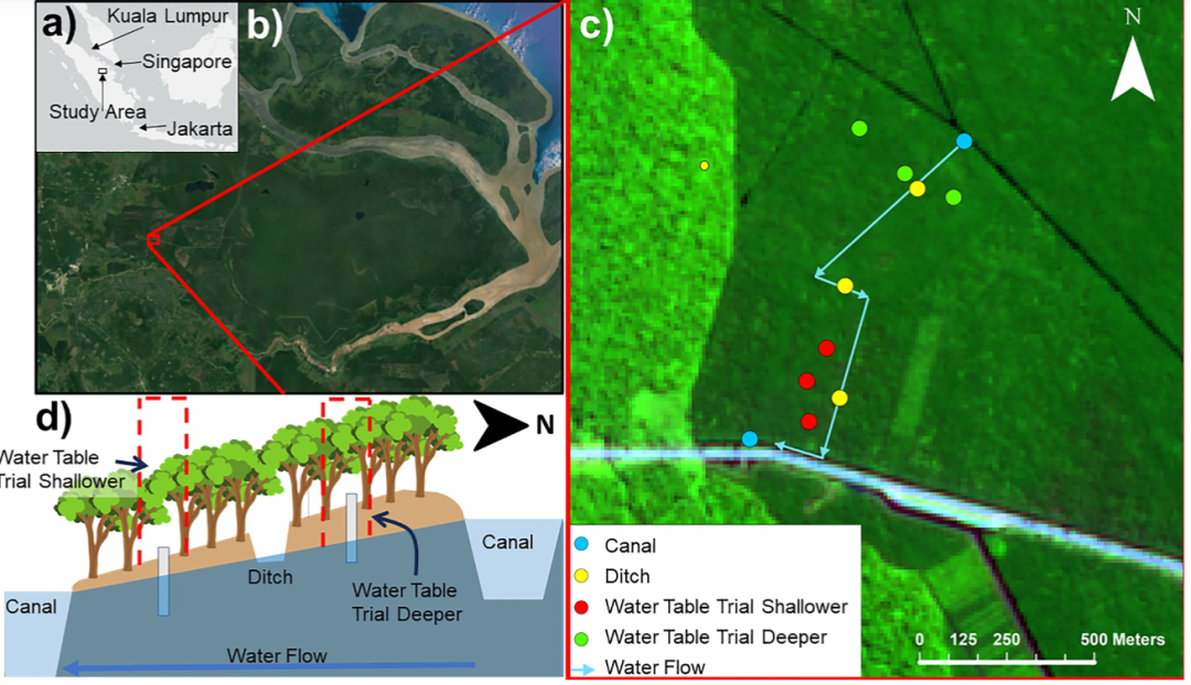 熱帶人工林泥炭地CH?與CO?的生成——排放路徑解析