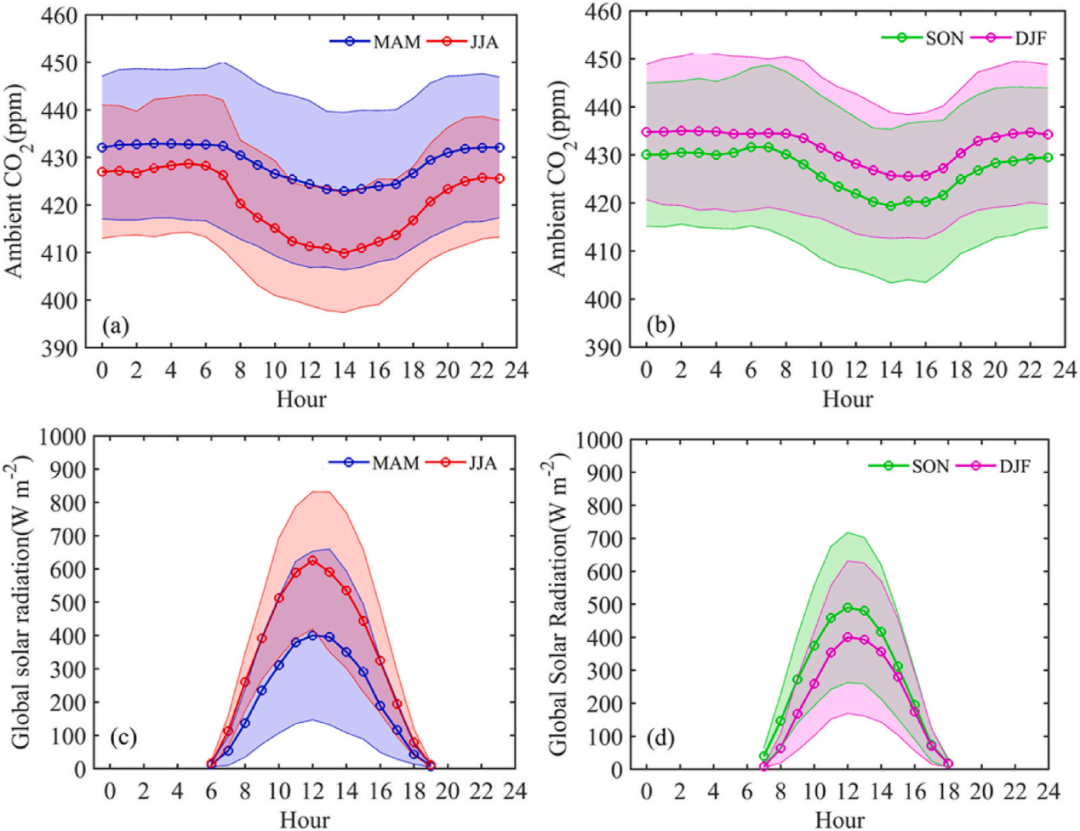 珠江三角洲的“碳
