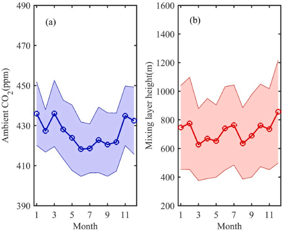 珠江三角洲的“碳