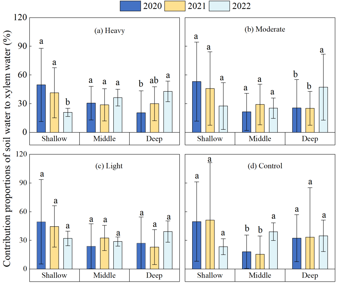 LI-2100 | 如何让森林“喝饱水”？——来自黄土高原的答案