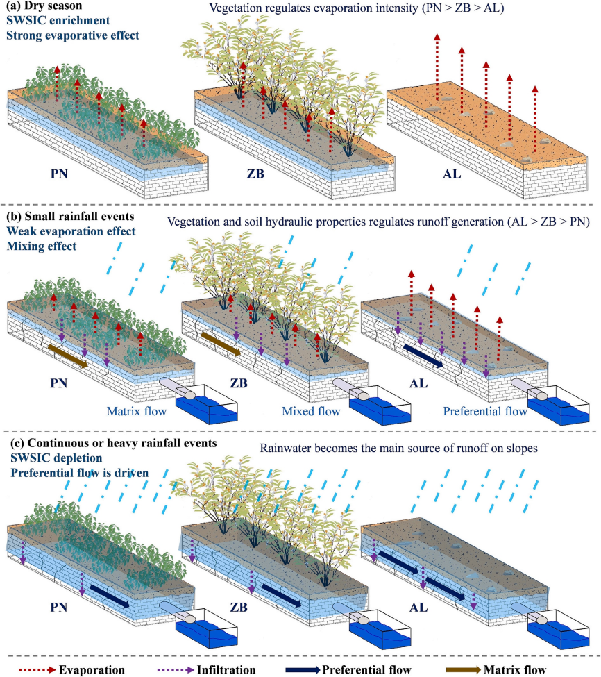 LI-2100 | 喀斯特坡地的水文秘密：雨水与植被如何左右土壤水分和径流？