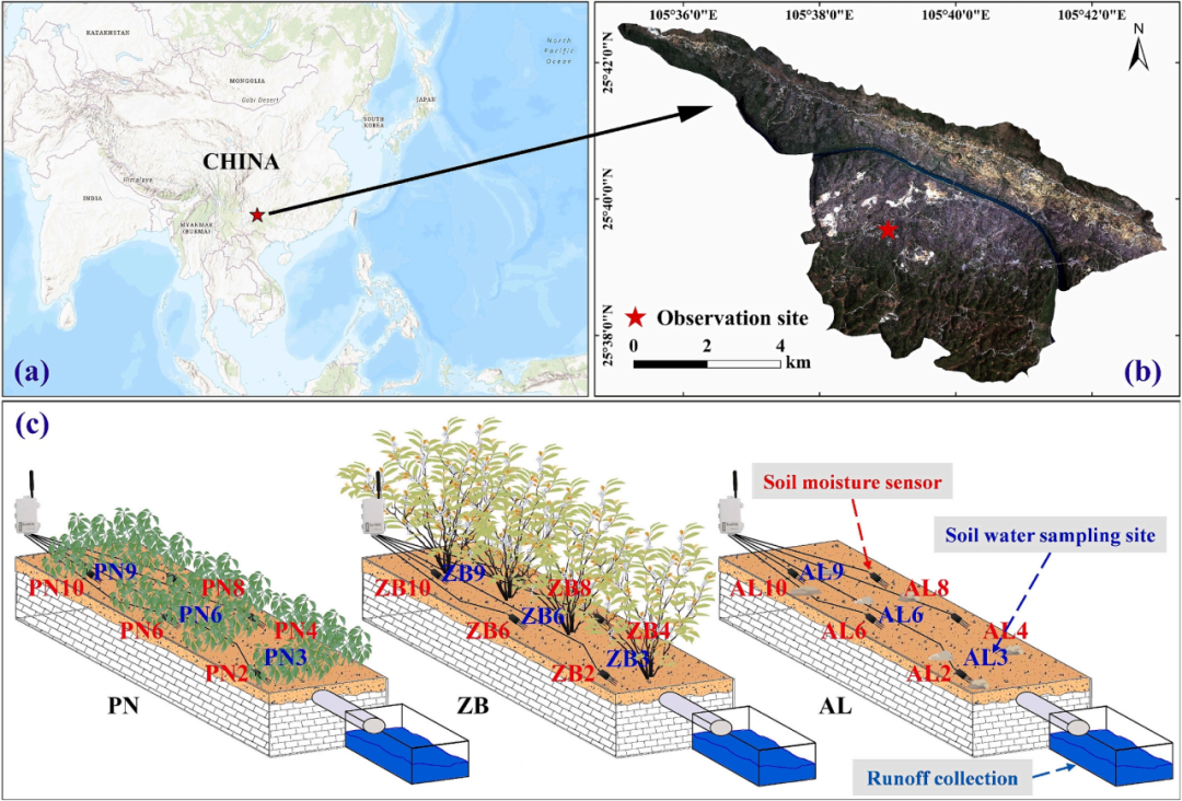 LI-2100 | 喀斯特坡地的水文秘密：雨水与植被如何左右土壤水分和径流？