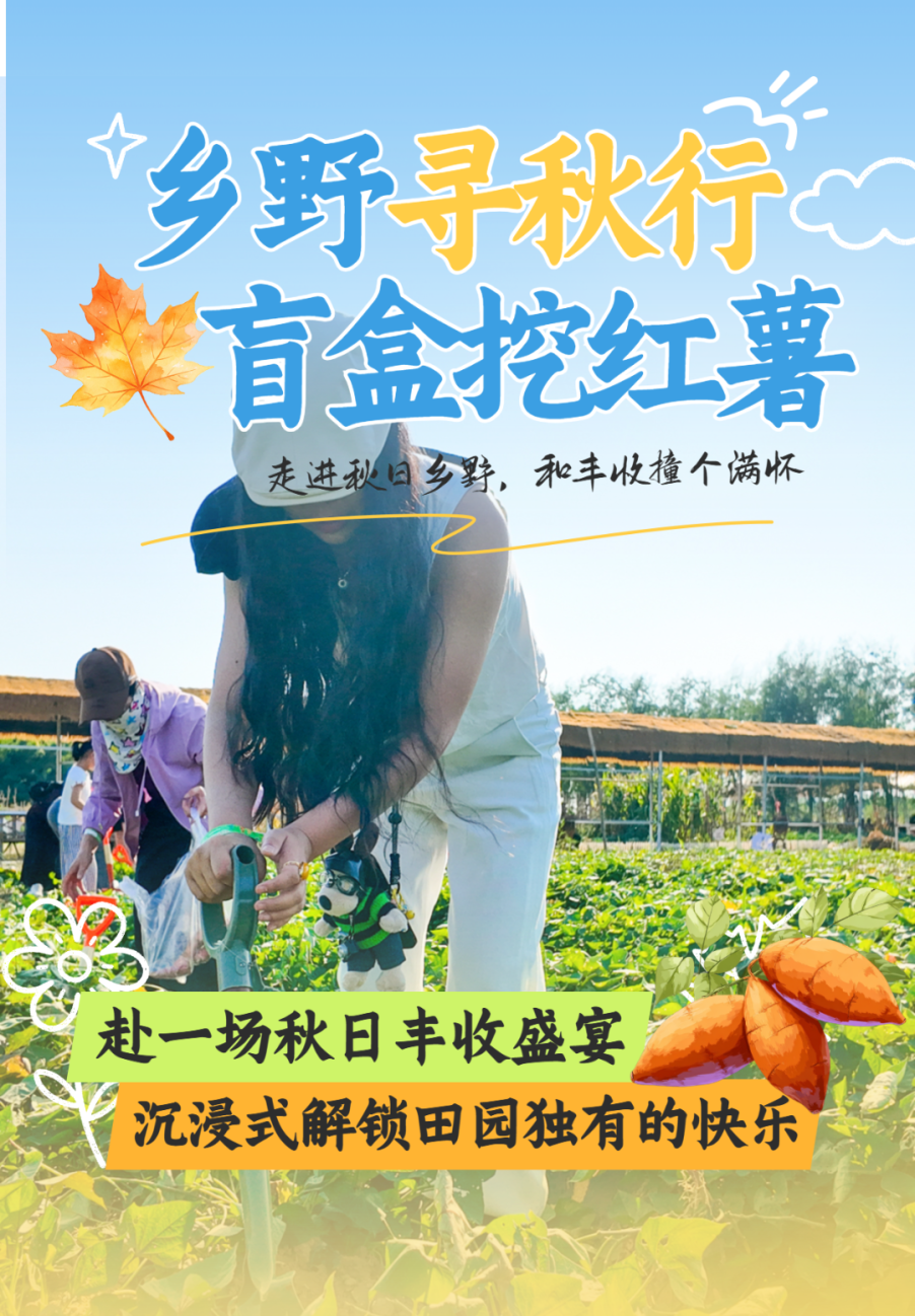 中国农民丰收节乡村游活动宣传海报.png