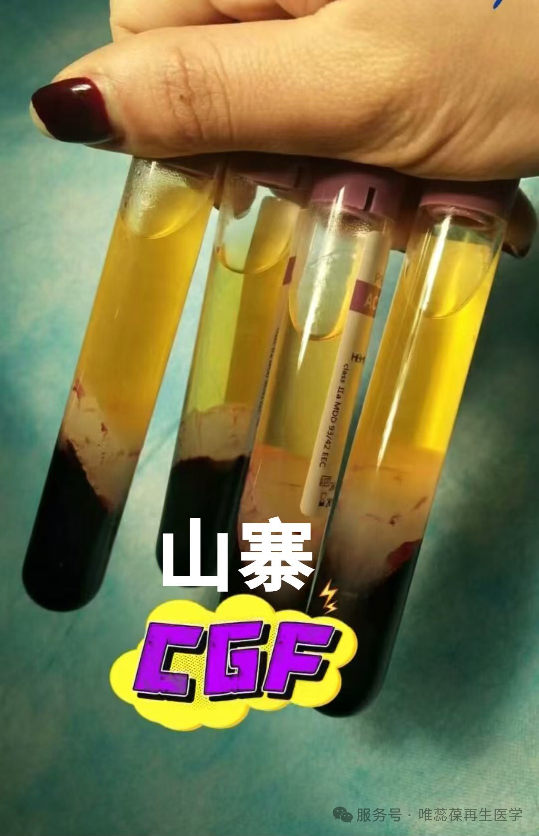 图3山寨CGF.jpg