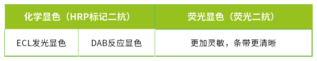 表格图片_Sheet6.png