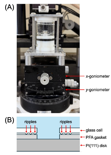 SECM 应用 | 修正认知-破解单晶铂电极的 “蝴蝶峰之谜