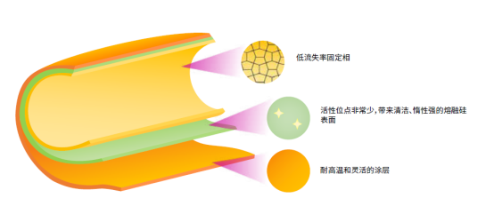 新一代的GC超高惰性-Zebron Plus系列