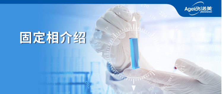 新一代的GC超高惰性-Zebron Plus系列