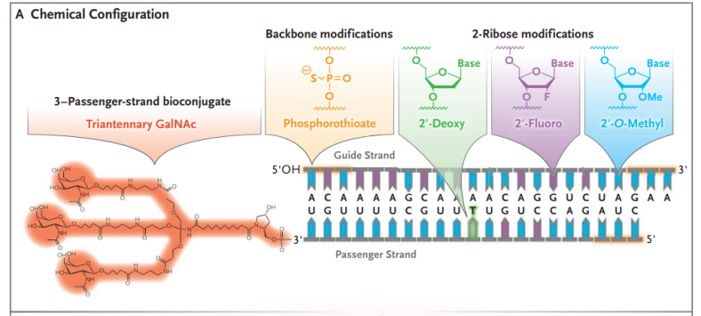 如何選擇合適的離子對搞定oligo雜質？