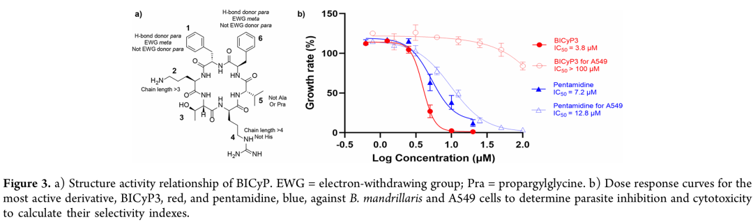【热点速递】环肽药物研发新突破：发现抗“食脑变形虫”强效环肽