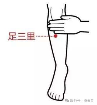 保健穴位足三里穴的准确位置图、作用及功效记得保存收藏_【快资讯】