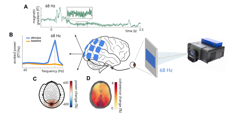 【客户文章】PROPixx 脑功能视听觉刺激系统助力 RIFT 技术，解锁认知探索新维度