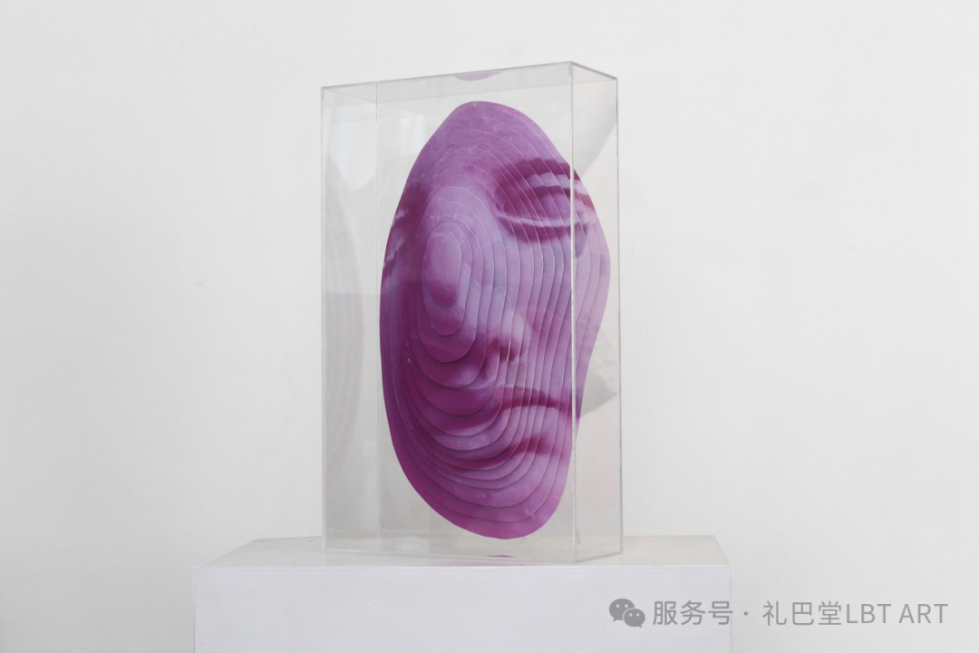 PINK VENUS.png
