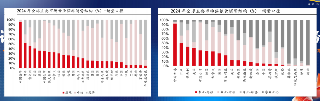 识食务者|靳峰年度演讲全文及解析