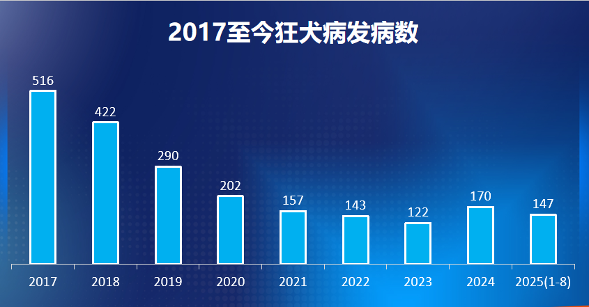 识食务者|靳峰年度演讲全文及解析