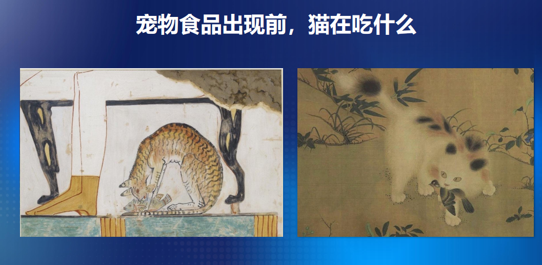 识食务者|靳峰年度演讲全文及解析