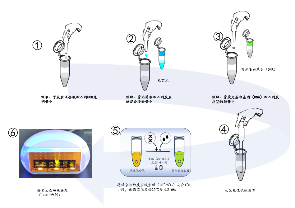 課堂出效果，競賽顯實力！PLD無細胞蛋白表達解鎖生物教學新維度