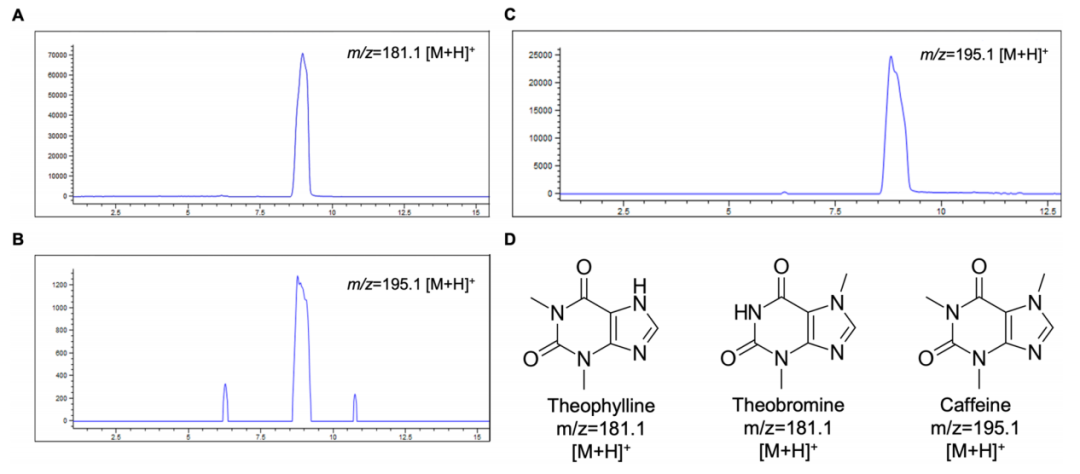 體外合成<font class=