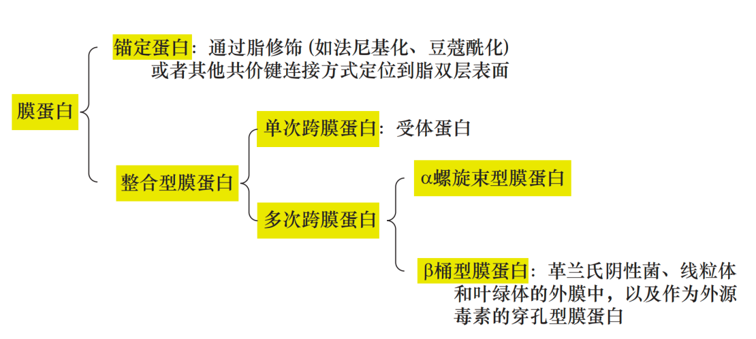 膜蛋白表达成功率接近100%？无细胞系统破解膜蛋白“表达魔<font class=