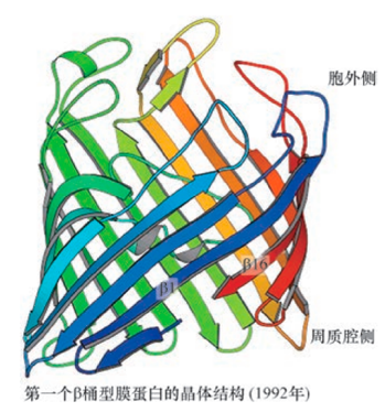 膜蛋白表达成功率接近100%？无细胞系统破解膜蛋白“表达魔<font class=