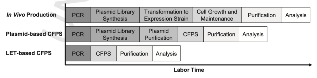 科研新寵：CFPS技術如何助力非天然氨基酸高效表達