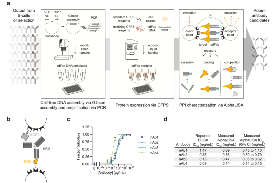 實驗室新潮流！CFPS技術(shù)讓蛋白質(zhì)研究更“嗨