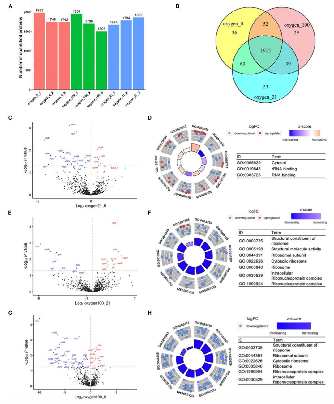 實驗室新潮流！CFPS技術(shù)讓蛋白質(zhì)研究更“嗨