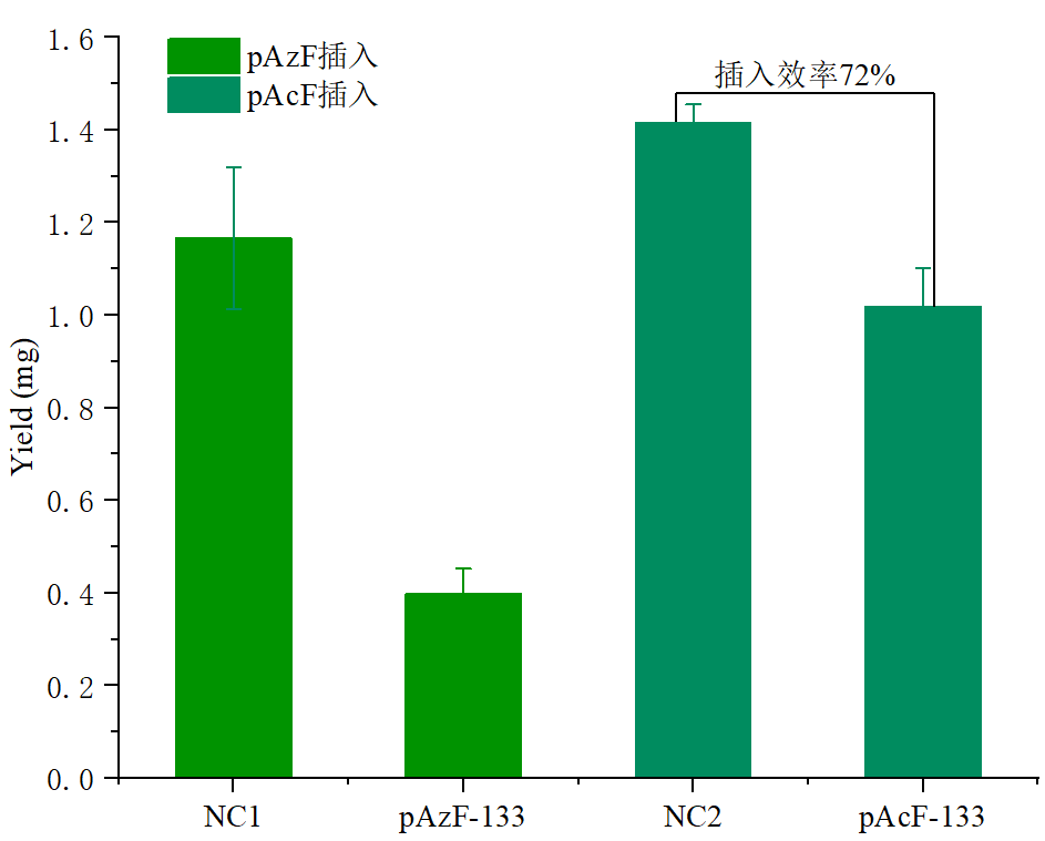 無細胞蛋白表達技術：破解難表達蛋白的密鑰