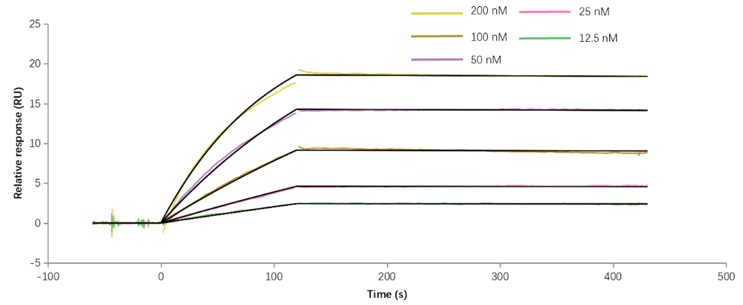 無細(xì)胞表達(dá)膜蛋白“叒