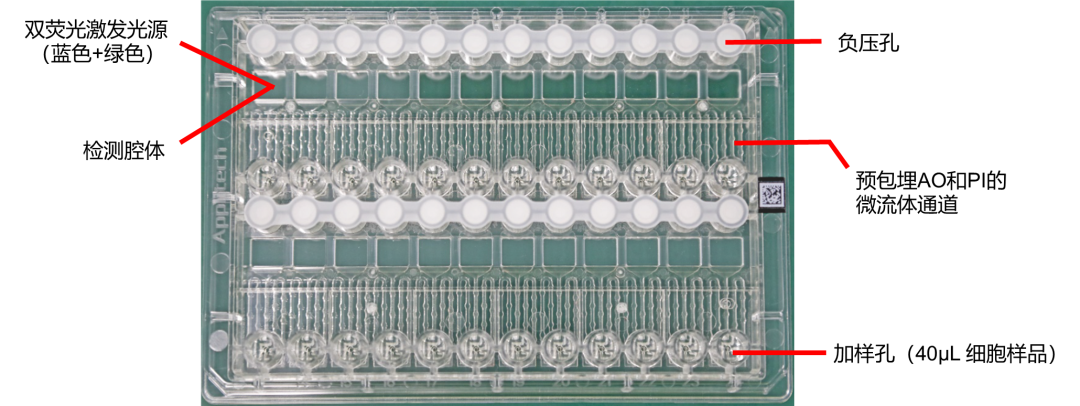 喜報(bào)丨IND獲批！瑞宏迪醫(yī)藥細(xì)胞治療藥物RGL-305注射液正式獲NMPA批準(zhǔn)臨床