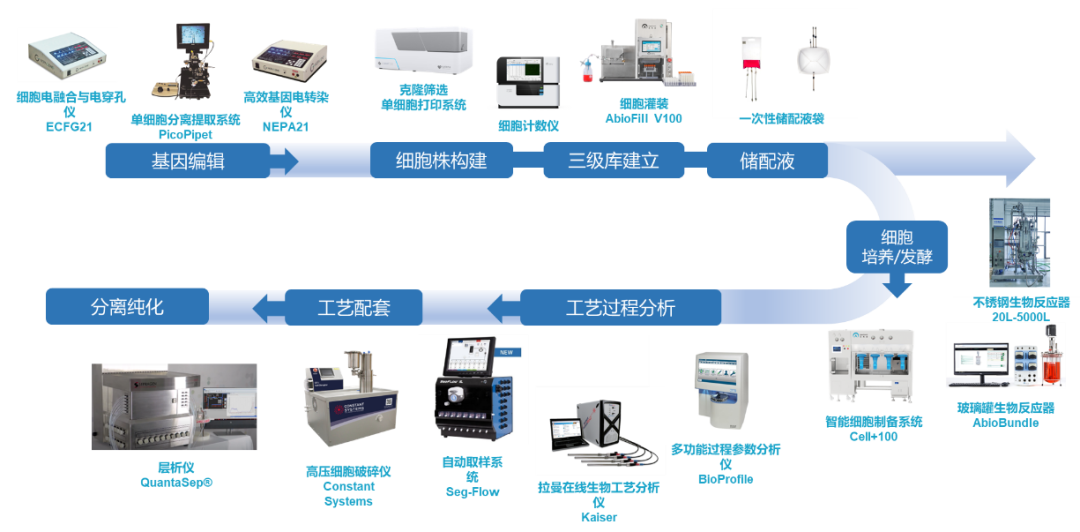 喜報(bào)丨IND獲批！瑞宏迪醫(yī)藥細(xì)胞治療藥物RGL-305注射液正式獲NMPA批準(zhǔn)臨床
