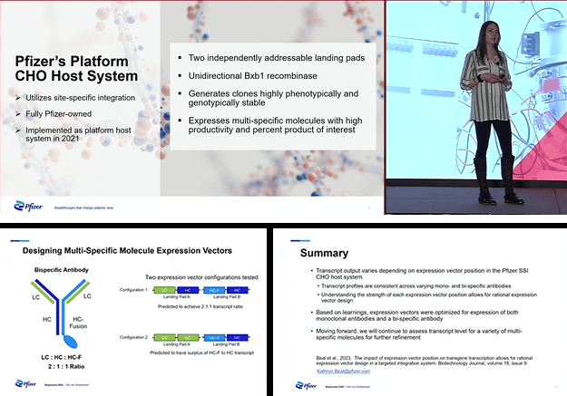 智能定點整合技術：細胞株開發(fā)進入精準高效新時代