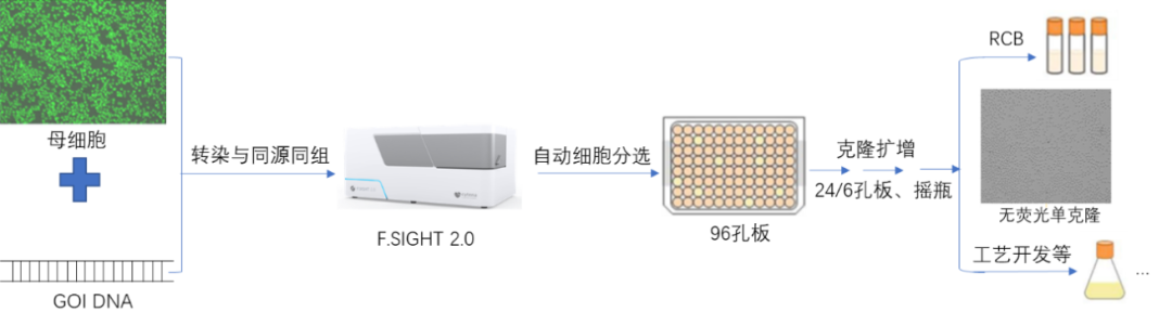 智能定點整合技術：細胞株開發(fā)進入精準高效新時代