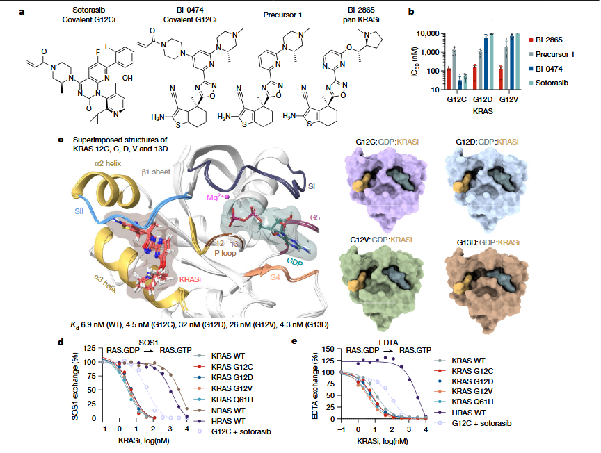 從"專屬武器"到"通用彈藥"：一圖看懂KRAS藥物的進(jìn)化史