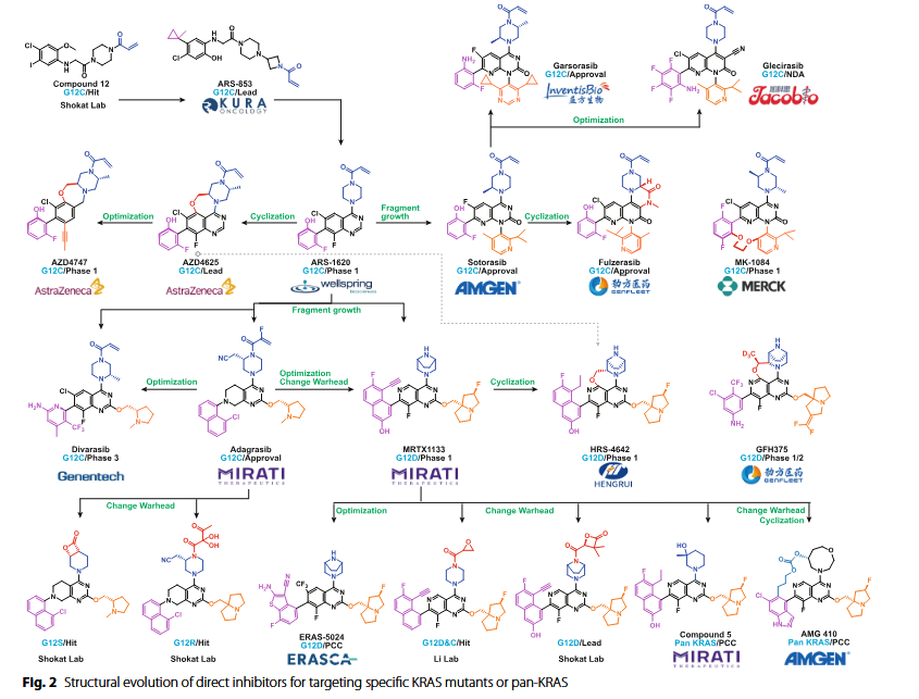 KRAS藥物的結(jié)構(gòu)進(jìn)化路線