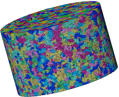 CT技术在生态学中的多尺度应用（附检测方法和图像分析）