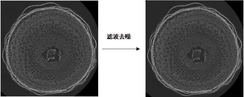 CT技术在生态学中的多尺度应用（附检测方法和图像分析）