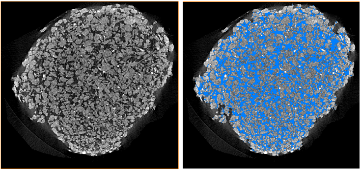 CT技术在生态学中的多尺度应用（附检测方法和图像分析）