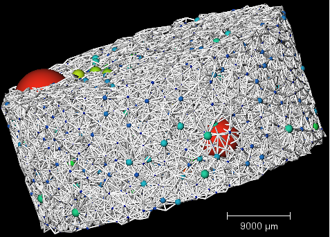 CT技术在生态学中的多尺度应用（附检测方法和图像分析）